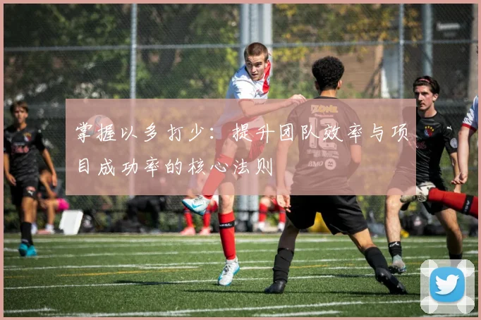 掌握以多打少:提升团队效率与项目成功率的核心法则