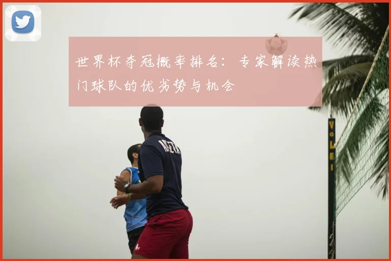 世界杯夺冠概率排名:专家解读热门球队的优劣势与机会