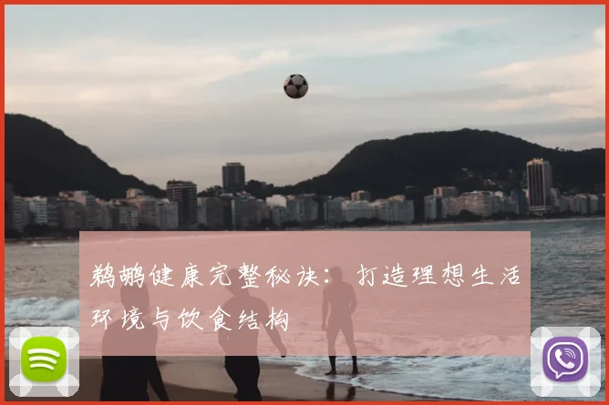 鹈鹕健康完整秘诀：打造理想生活环境与饮食结构